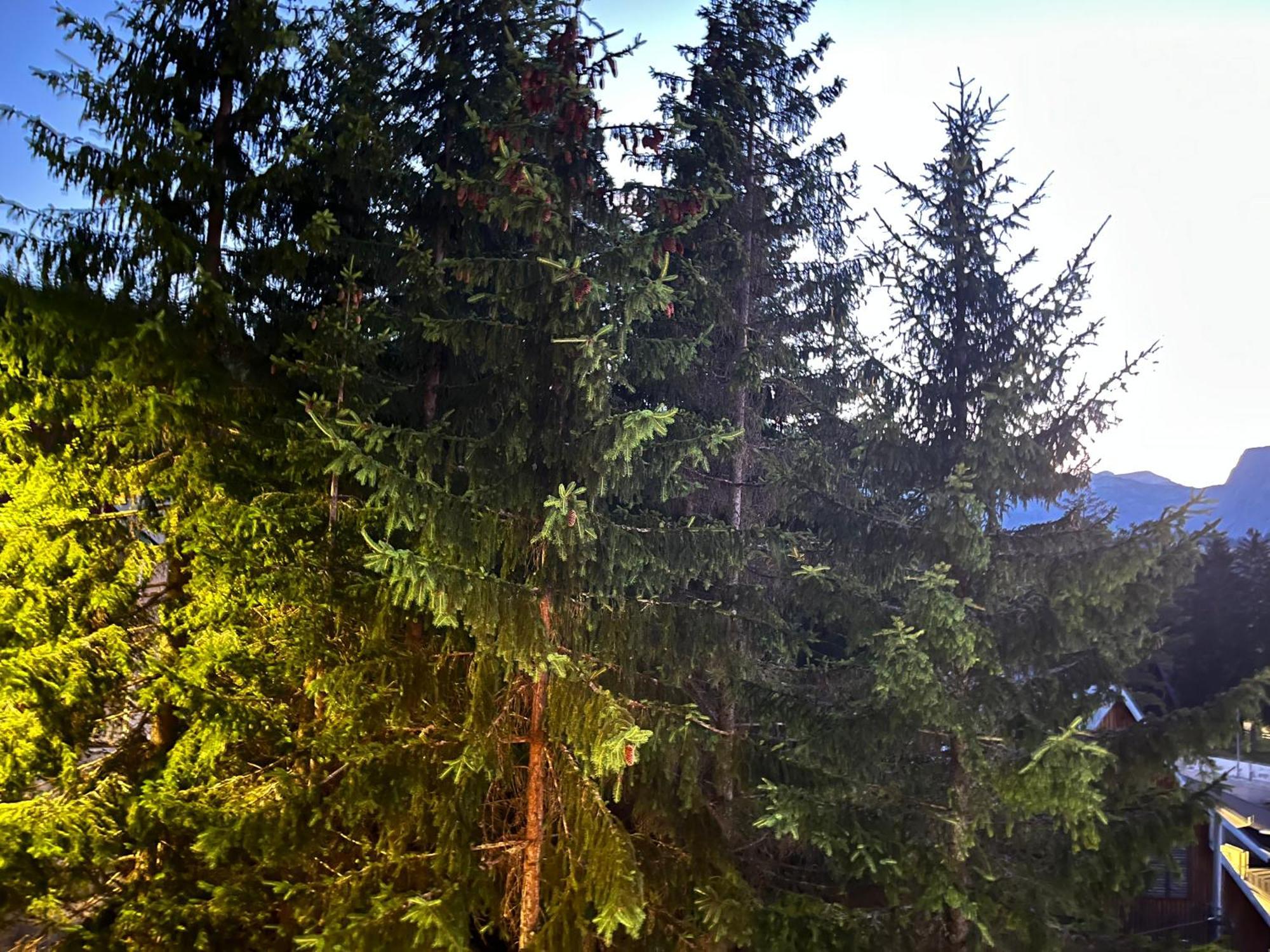 Vila Idila Žabljak Extérieur photo